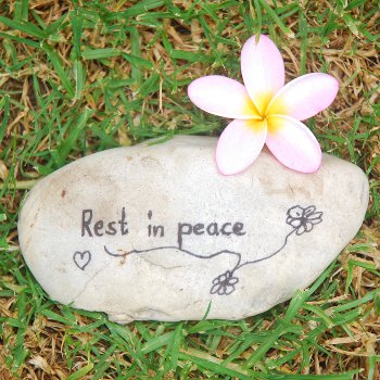 Small gravestone for a pet, with the words rest in peace and a flower sitting nearby