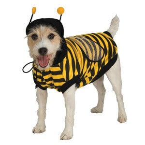 Bumble Bee Pet Costume