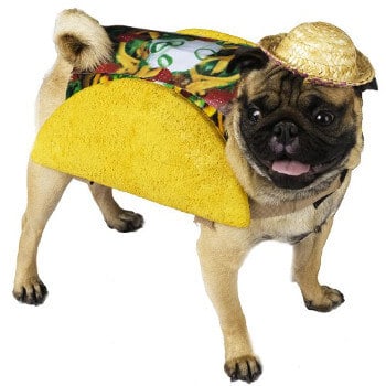 Fun World Taco Pet Food Dog Costume