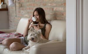 Terrier dog sitting on a couch with a young lady