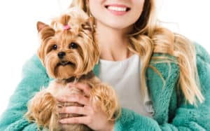 Closeup of a Yorkshire Terrier being held by a young woman