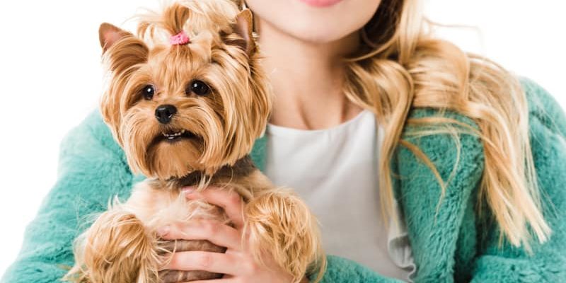 10 Paws-itively Sweet Gifts For Dog Moms